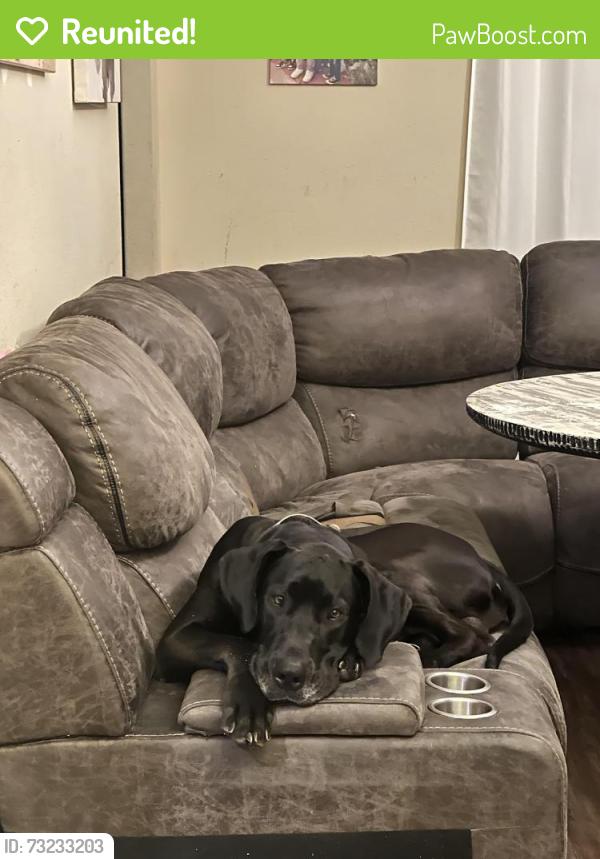 Reunited Male Dog last seen Juneberry Dr., Denton, TX 76207