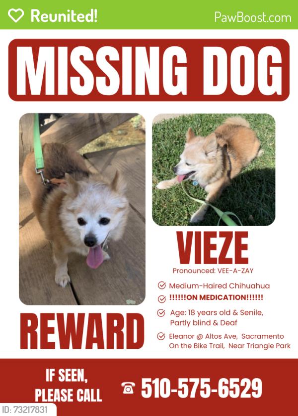 Reunited Female Dog last seen Traction by Triangle Park, Sacramento, CA 95815