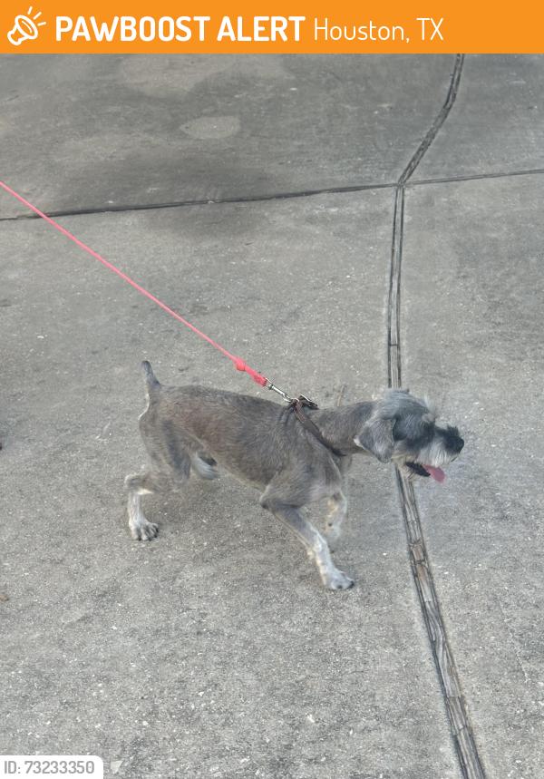 Found/Stray Male Dog last seen Stewart crest Ln Cypress, Tx 77433, Houston, TX 77433