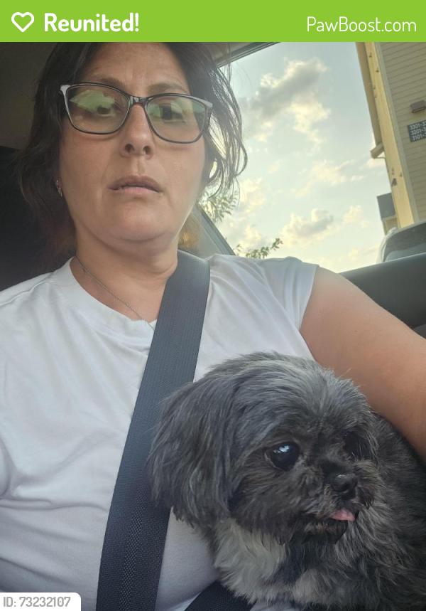 Reunited Female Dog last seen Behind whataburger on hwy 46 across from clear springs, New Braunfels, TX 78130