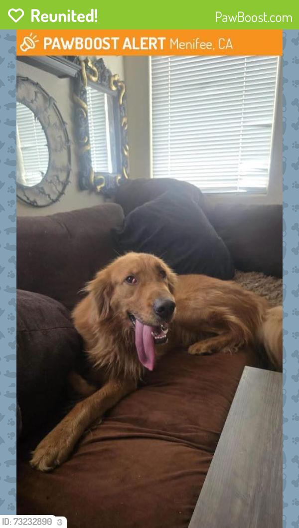 Reunited Male Dog last seen Rouse Rd, Menifee, CA 92585