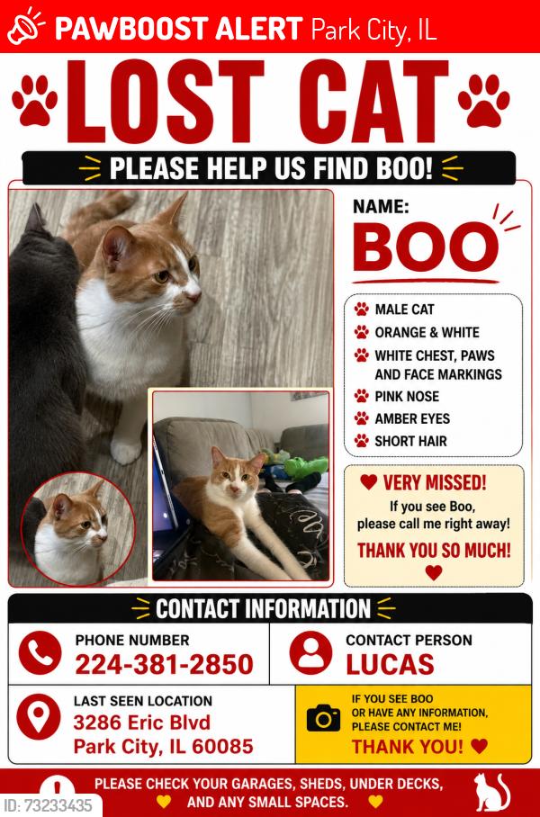 Lost Male Cat last seen My home, Park City, IL 60085