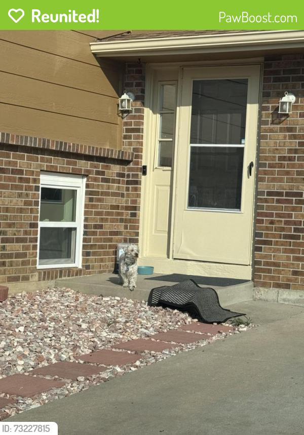 Reunited Male Dog last seen E Oregon Dr and Colorado St, Aurora, CO 80017