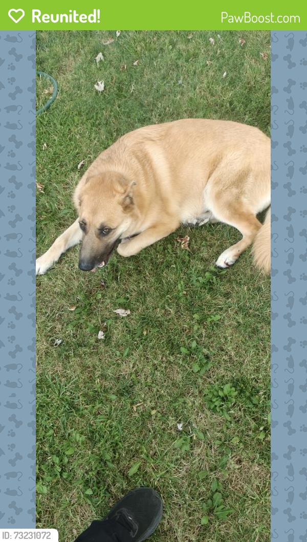 Reunited Female Dog last seen Cottage Park, Sacramento, CA 95825