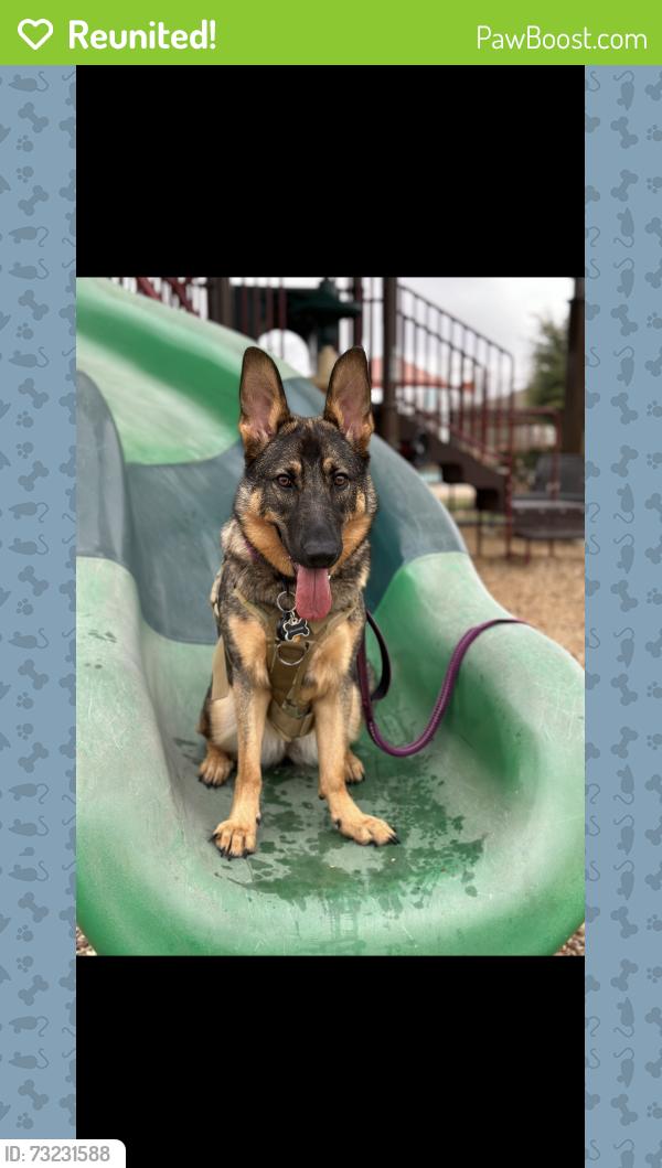 Reunited Female Dog last seen Wildhorse at tausch farms, San Antonio, TX 78254