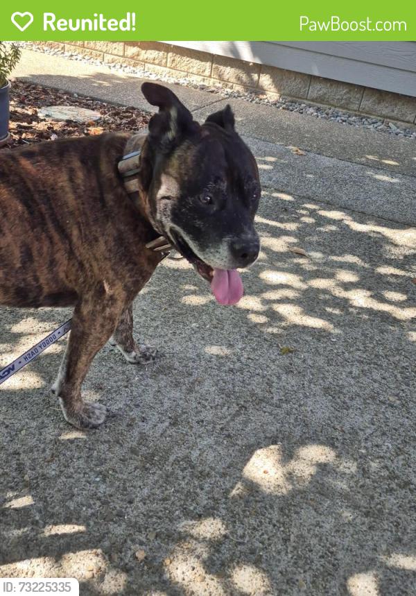 Reunited Male Dog last seen Galice Rd, Josephine County, OR 97532