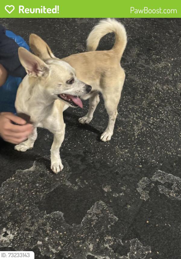 Reunited Male Dog last seen Walgreens on 71st and Biarritz, Miami Beach, FL 33141