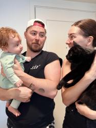 Reunited Male Cat last seen Near n Bronson Ave, Los Angeles, ca 90068, Los Angeles, CA 90068