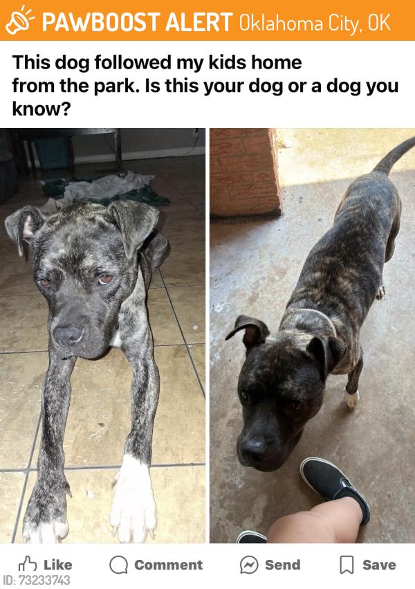 Found/Stray Male Dog last seen North highland park, Oklahoma City, OK 73114