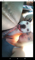 Lost Male Dog last seen Near Potter shop rd Nancy ky, Potter Shop Rd, KY 42544