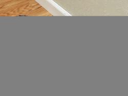 Lost Female Cat last seen 7th and New York, Longview, WA 98632