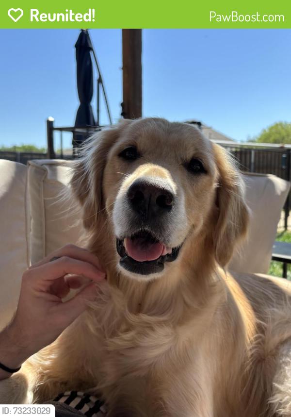 Reunited Female Dog last seen Parks of Corinth, Corinth, TX 76208