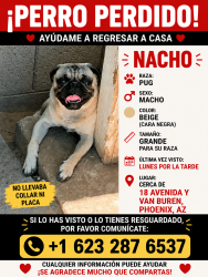 Lost Male Dog last seen 18th Ave & Van Buren, Phoenix, AZ, Phoenix, AZ 85007