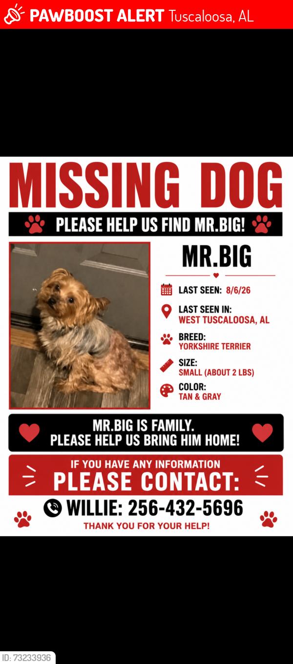 Lost Male Dog last seen Westend Tuscaloosa al, Tuscaloosa, AL 35401