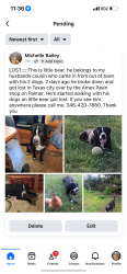 Lost Male Dog last seen Amex pawn shop, Texas City, TX 77590