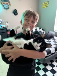 Reunited Female Cat last seen County Line Rd, Spring Hill, FL 34609