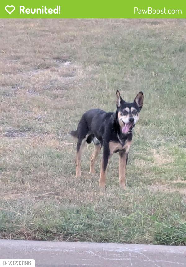 Reunited Male Dog last seen Windy Hill Ln, Fort Worth, TX 76108
