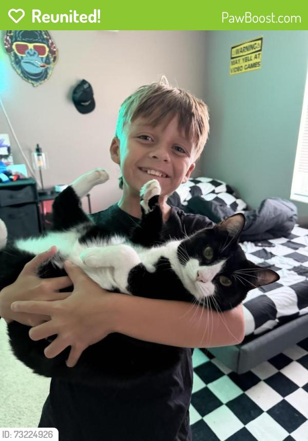 Reunited Female Cat last seen County Line Rd, Spring Hill, FL 34609