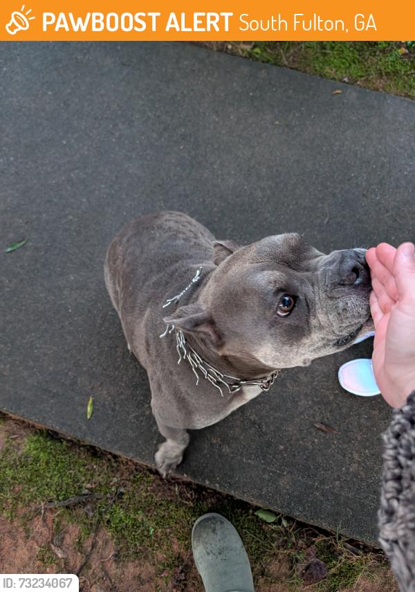 Found/Stray Male Dog last seen Waterlace Drive and Yarborough Drive, South Fulton, GA 30213