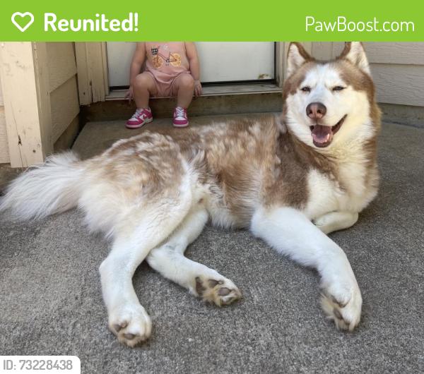 Reunited Male Dog last seen FAA rd, Euless, TX 75038