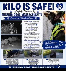 Reunited Male Dog last seen Tiogue Elementary, Coventry, RI 02816