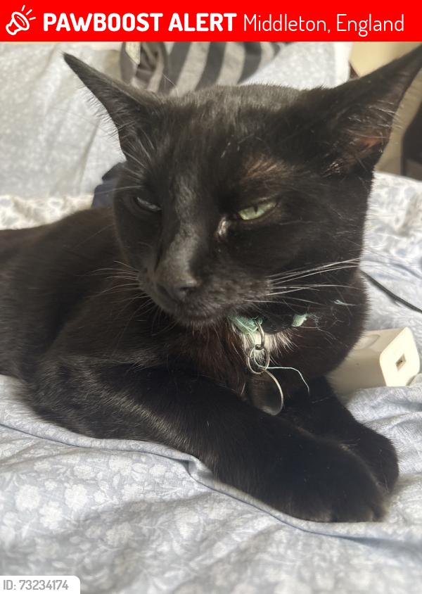 Lost Male Cat last seen Rochdale Road, Middleton, England 