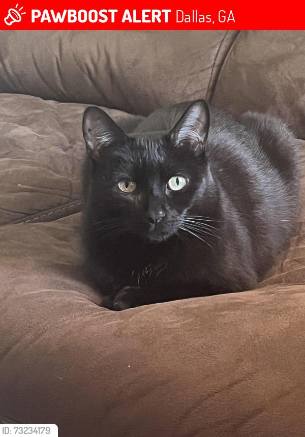 Lost Male Cat last seen Hardy street, Dallas, GA 30132