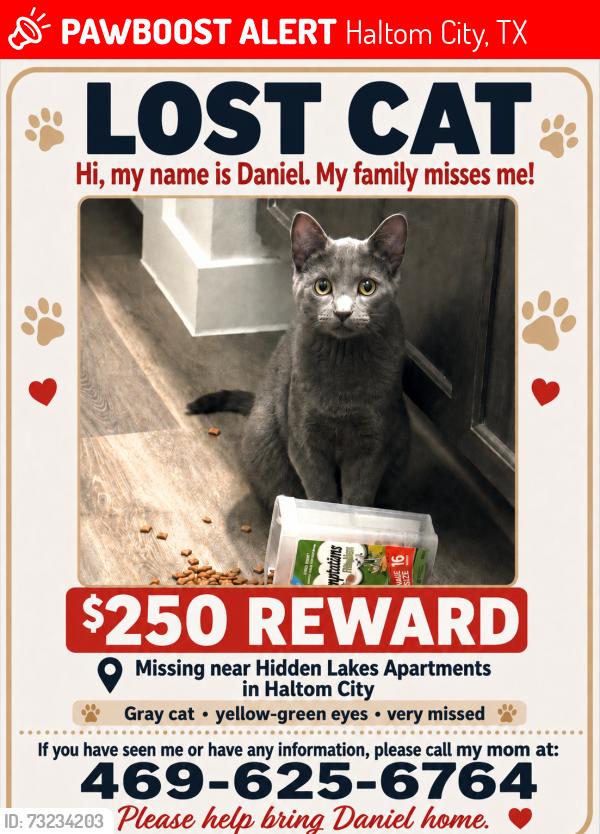 Lost Male Cat last seen Near, Haltom City, TX 76137