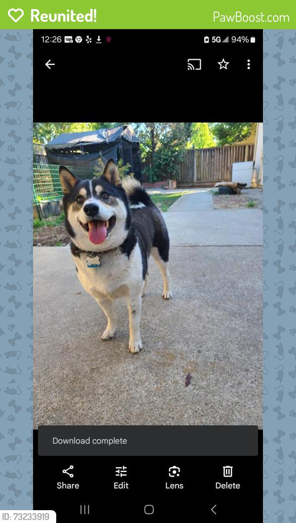 Reunited Male Dog last seen 17th St & Diamond St, San Francisco, CA 94114, USA, San Francisco, CA 94114