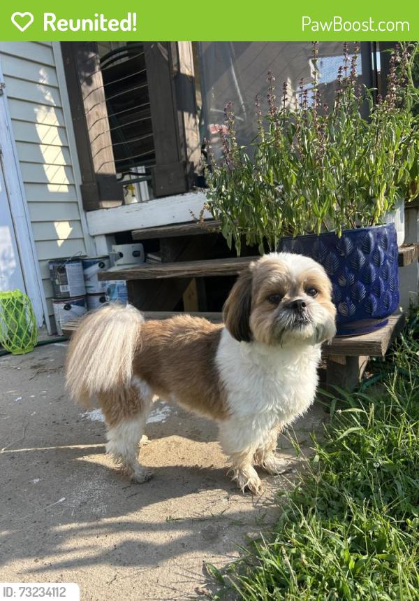 Reunited Male Dog last seen Near Errol lane, Nashville, TN 37209