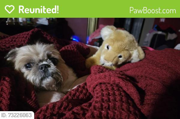 Reunited Female Dog last seen Boca Isles North, Boca Raton, FL 33498