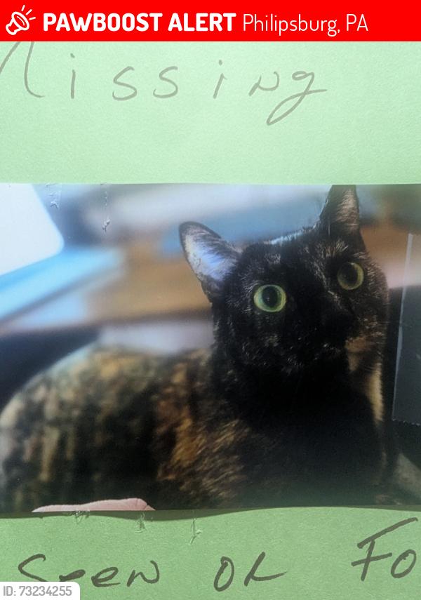 Lost Female Cat last seen Pine street, Philipsburg, PA 16866