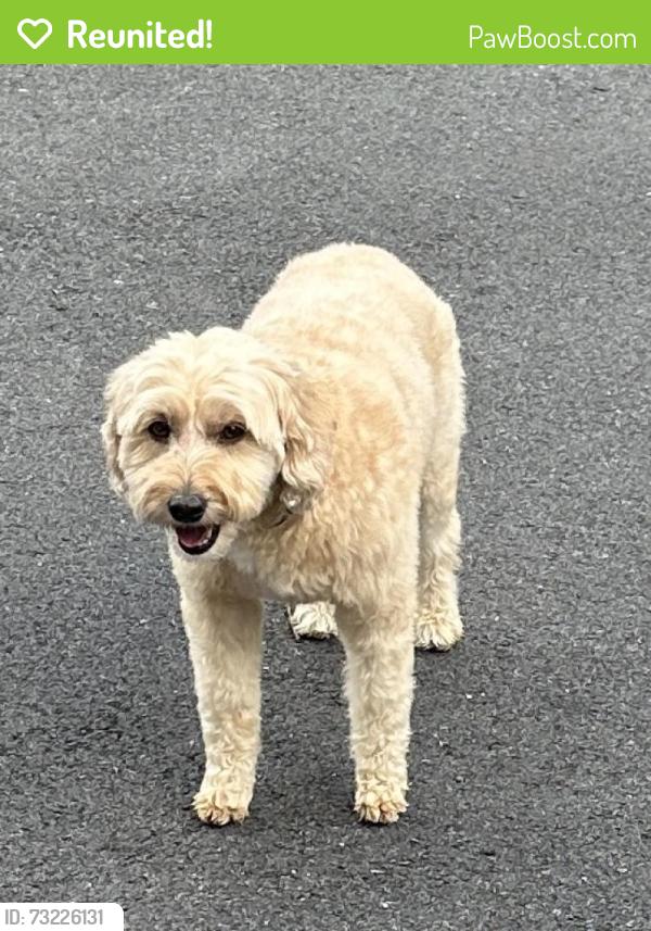 Reunited Female Dog last seen Meyer Rd/Muschlitz Rd, Bushkill Township, PA 18064