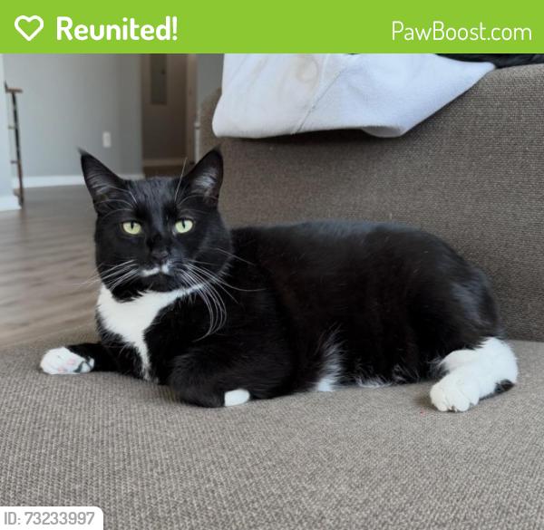 Reunited Male Cat last seen Greenville place apmts, Greenville, DE 19807