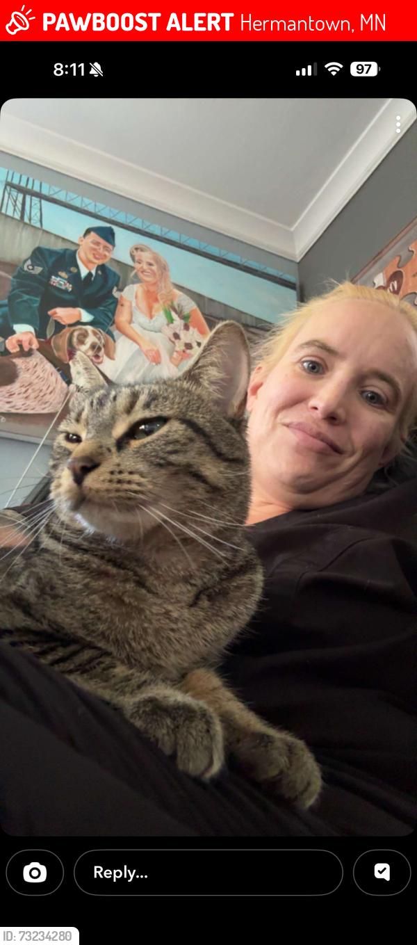 Lost Female Cat last seen Near W. Arrowhead Rd. Hermantown MN, Hermantown, MN 55811