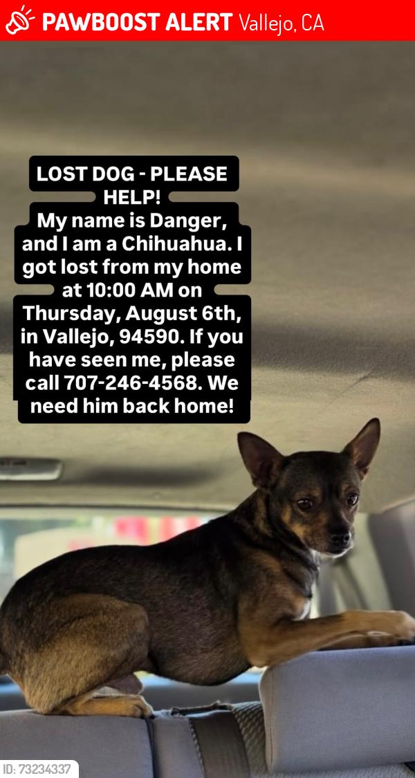 Lost Male Dog last seen Fire estation#22, Vallejo, CA 94590
