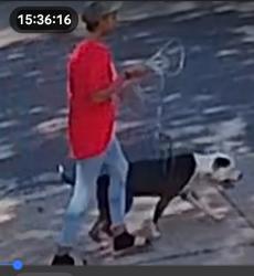 Lost Unknown Dog last seen Jerries Lane, Florissant, MO 63033