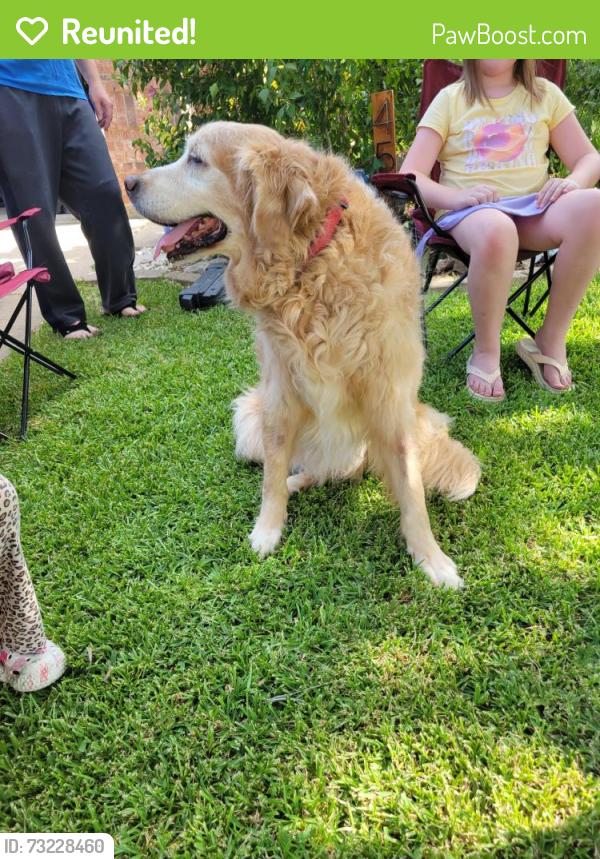 Reunited Unknown Dog last seen Ridgeway and Glenwood, Mansfield, TX 76063