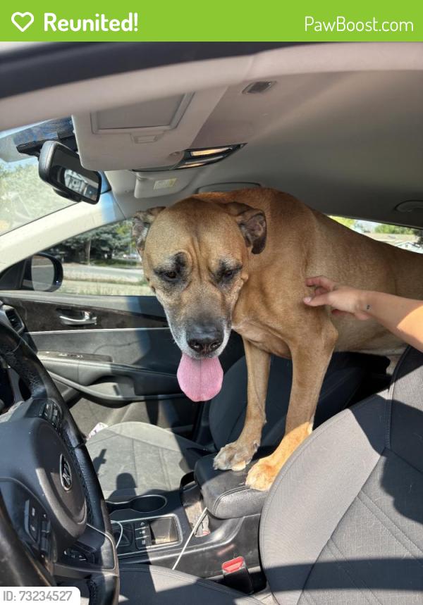 Reunited Male Dog last seen Near W 61st Pl, Arvada, CO 80003, USA, Arvada, CO 80003