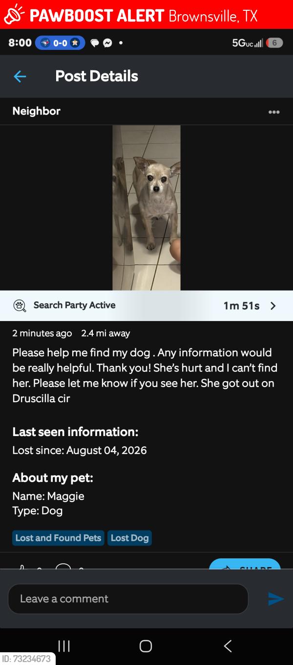 Lost Female Dog last seen Druscilla cir, Brownsville, TX 78521