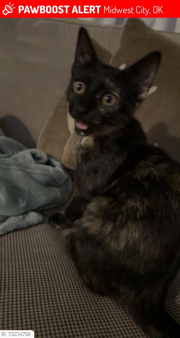 Lost Female Cat last seen 15th and south post, Midwest City, OK 73130