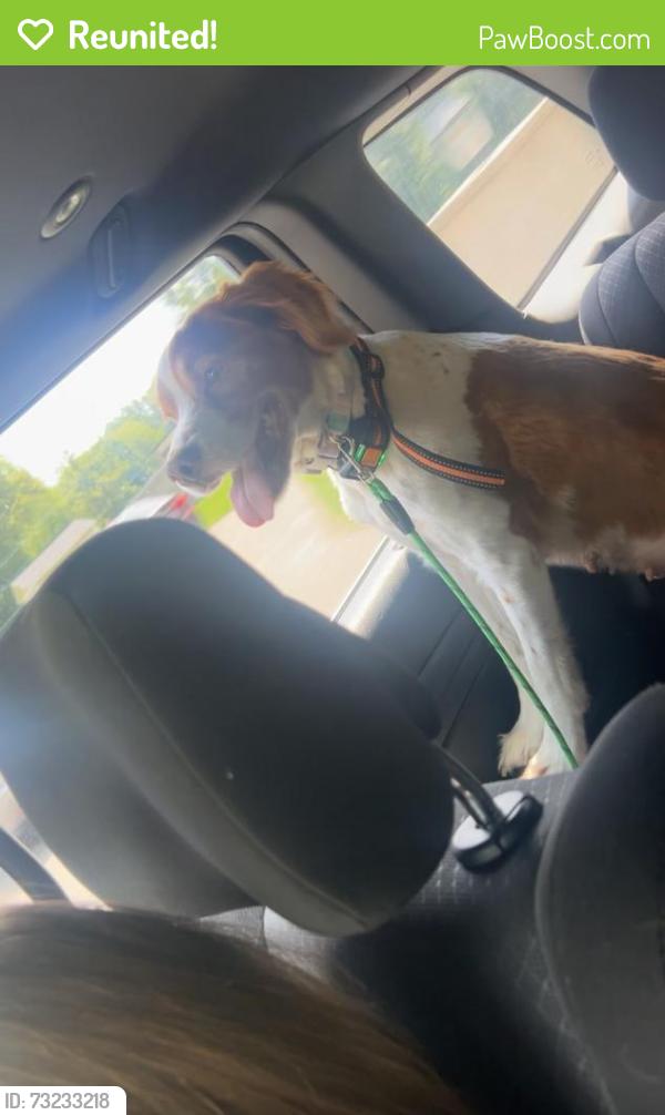Reunited Female Dog last seen Robin drive oak ridge, Jefferson, NJ 07438