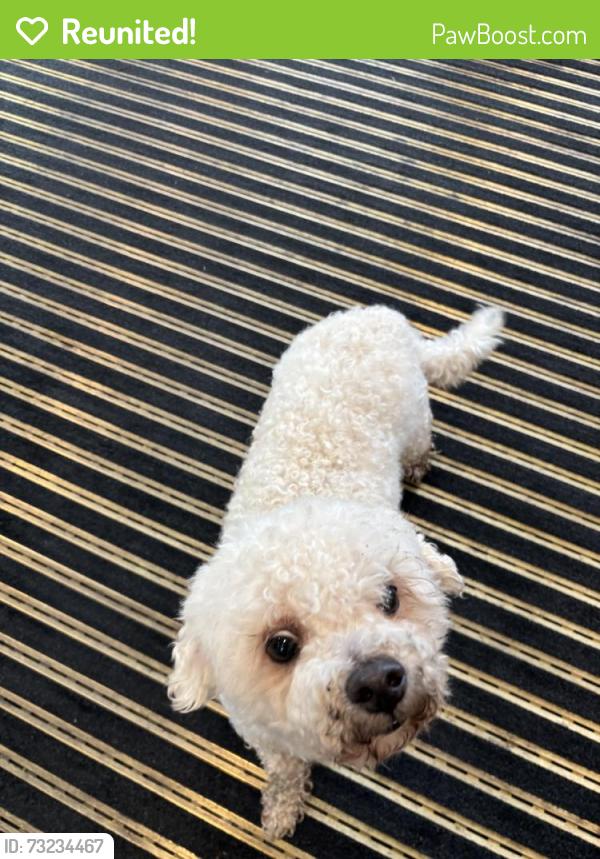 Reunited Unknown Dog last seen Dug Gap Rd, Dalton, GA 30720