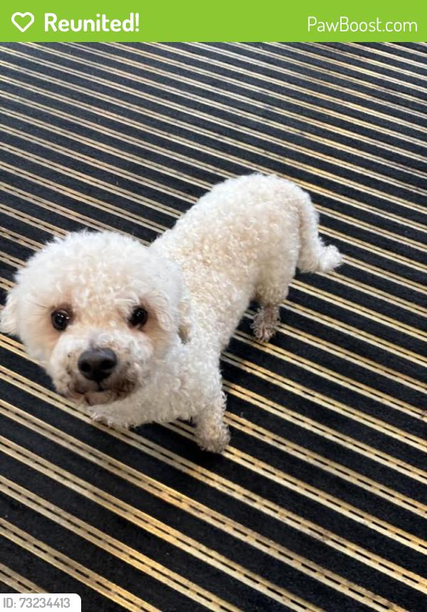Reunited Male Dog last seen Dug Gap Rd, Dalton, GA 30720
