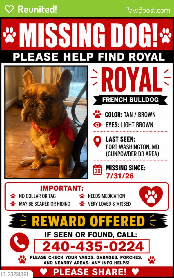 Reunited Female Dog last seen Aragona and 210 Livingston Road, Fort Washington, MD 20744