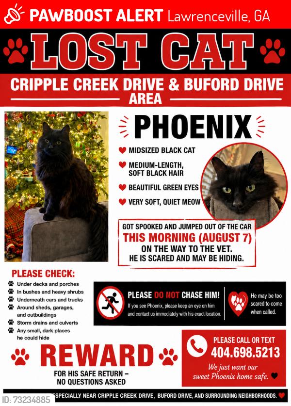 Lost Male Cat last seen Cripple Creek Drive and Buford Drive, Lawrenceville, GA 30043