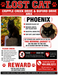 Lost Male Cat last seen Cripple Creek Drive and Buford Drive, Lawrenceville, GA 30043