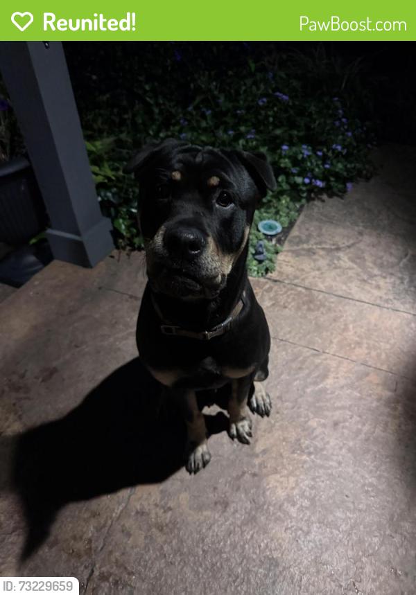 Reunited Male Dog last seen Schumacher Place, corner of Bruck and Kossuth, Columbus, OH 43206