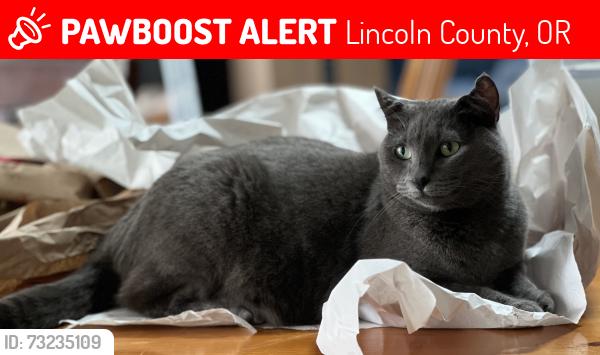 Lost Female Cat last seen NE Starr Creek Drive, Lincoln County, OR 97498
