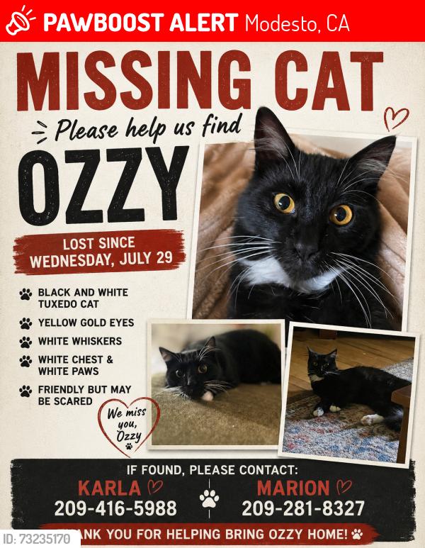 Lost Female Cat last seen McKendry, Modesto, CA 95350